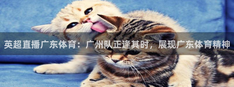 英超直播广东体育：广州队正逢其时，展现广东体育精神
