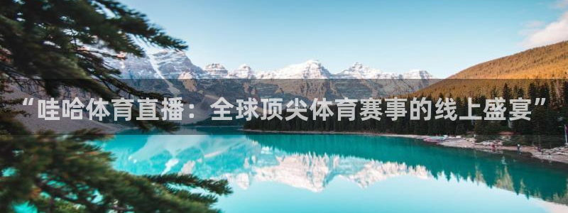 “哇哈体育直播：全球顶尖体育赛事的线上盛宴”