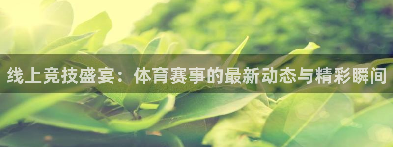 线上竞技盛宴：体育赛事的最新动态与精彩瞬间