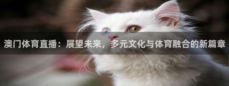 澳门体育直播：展望未来，多元文化与体育融合的新篇章