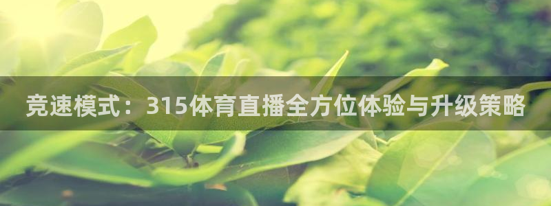竞速模式：315体育直播全方位体验与升级策略