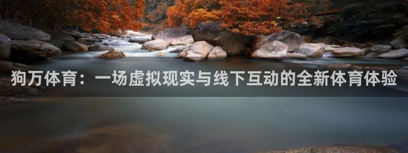 狗万体育：一场虚拟现实与线下互动的全新体育体验