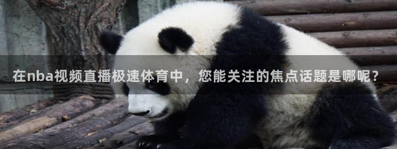 在nba视频直播极速体育中，您能关注的焦点话题是哪呢？