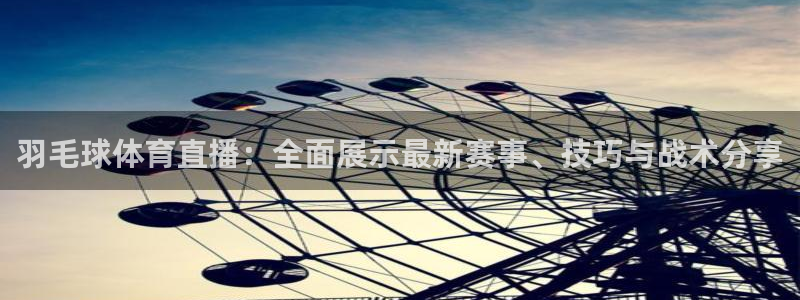 羽毛球体育直播：全面展示最新赛事、技巧与战术分享