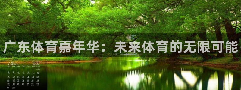 广东体育嘉年华：未来体育的无限可能