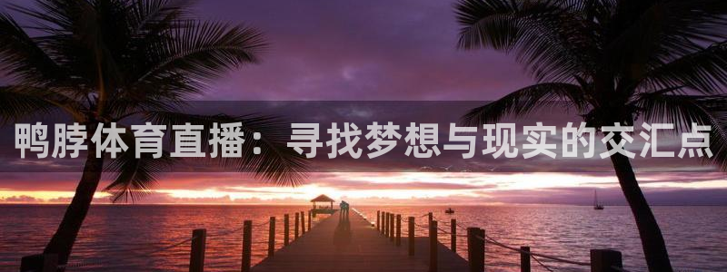 鸭脖体育直播：寻找梦想与现实的交汇点