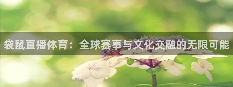 袋鼠直播体育：全球赛事与文化交融的无限可能